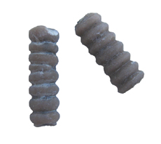 Crinoid Stems Indiana, USA