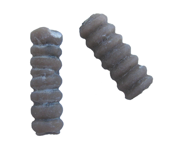 Crinoid Stems