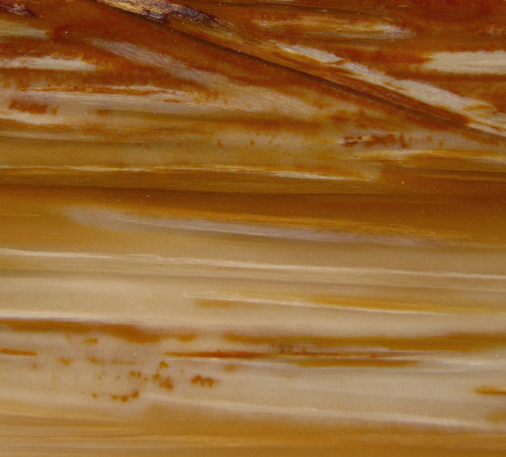 Palm Longitudinal Section