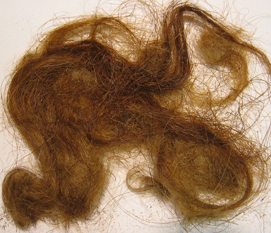 Mammoth Hair