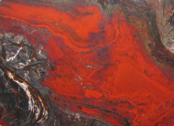 Stromatolite Collenia undosa Mesabi Range, Minnesota