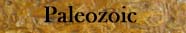 Paleozoic Drop Down Menu