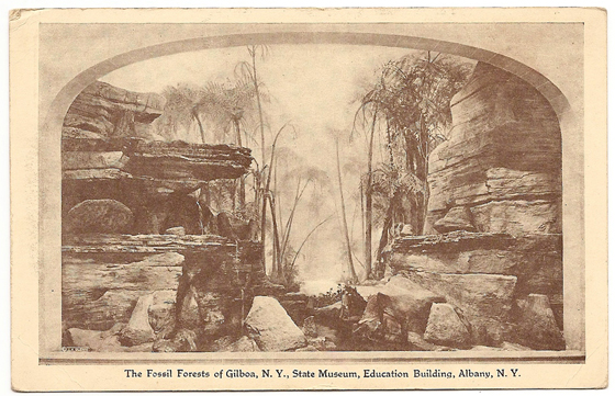 Vintage Post Card Showing a Reconstruction of the Devonian Aged Gilboa Forests
